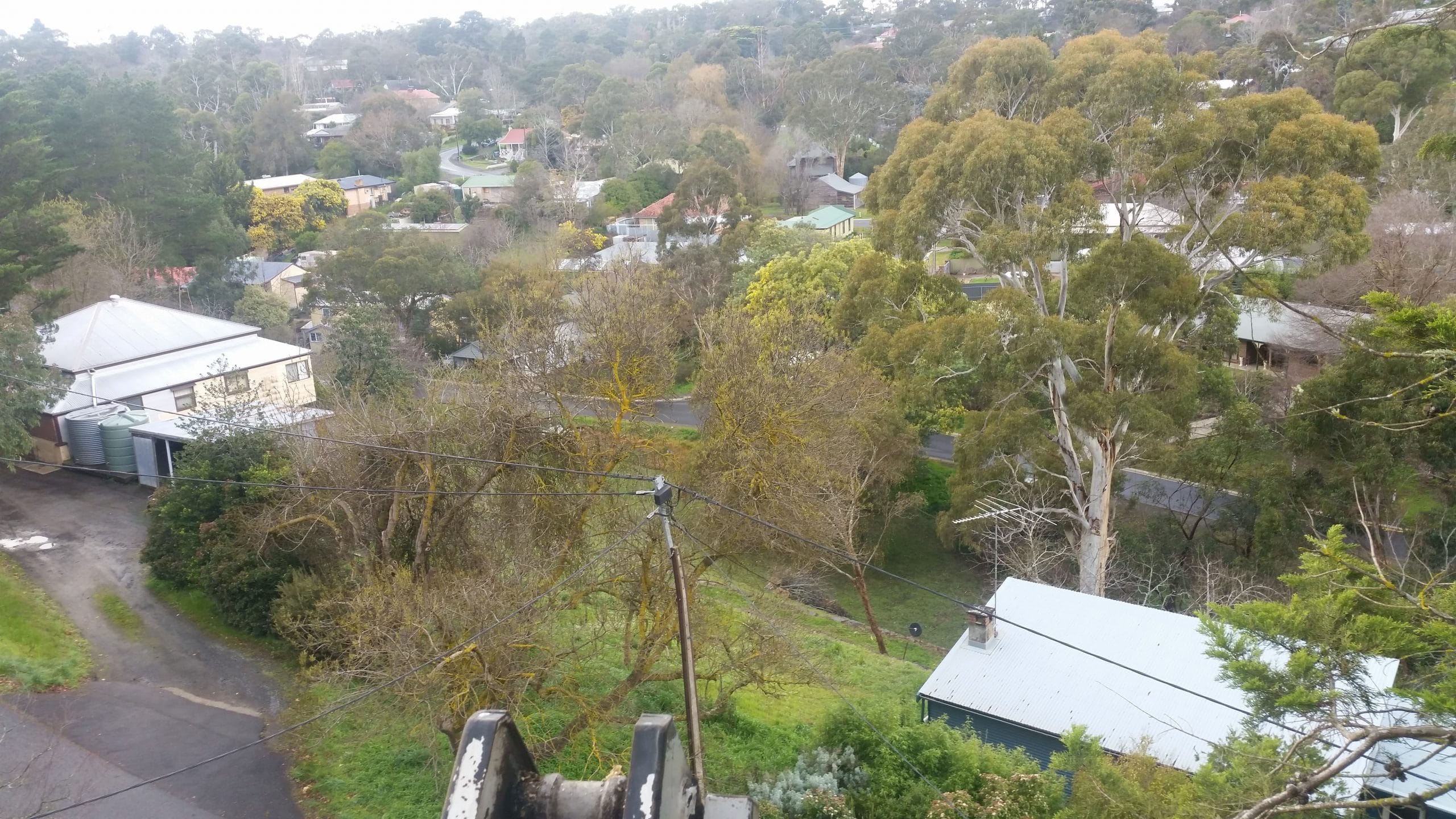 DIY TREE REMOVAL IS A BAD IDEA! READ ON TO FIND OUT WHY